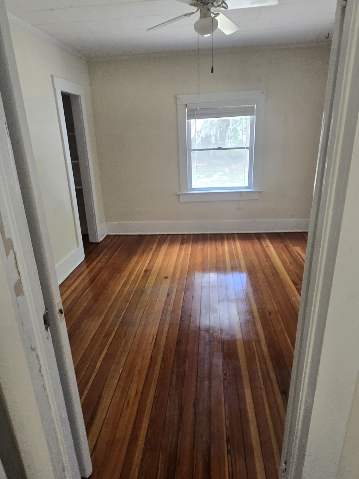 Hardwood floors polished to a shine